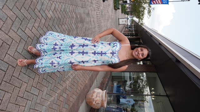 EMBROIDERED FIT & FLARE DRESS