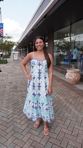 EMBROIDERED FIT & FLARE DRESS