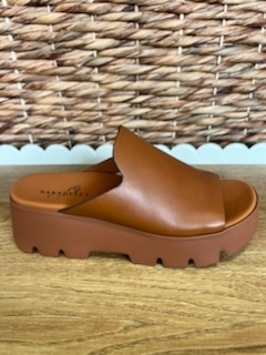 DRIFT CAMEL PLATFORM